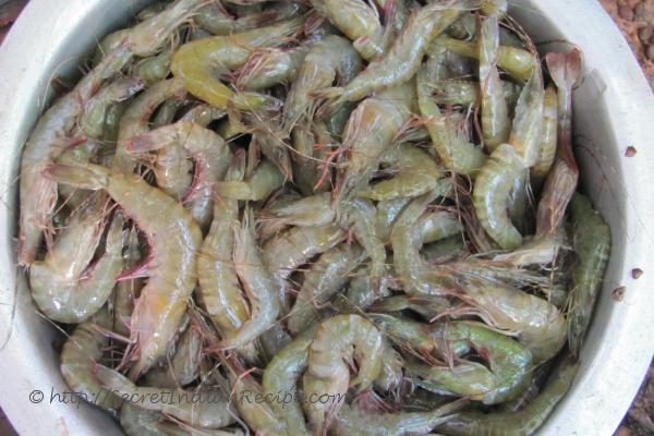 photo of fresh prawns