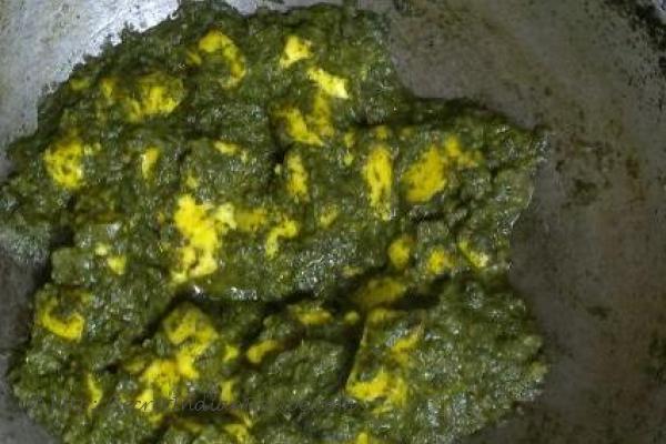 photo of palak paneer (spinach and cottage cheese gravy)