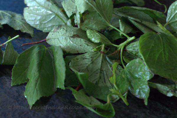 photo of Gongura leaves