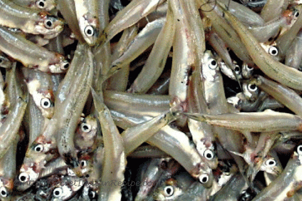 photo of meen peera (fish cooked in coconut gravy)