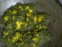 photo of palak paneer (spinach and cottage cheese gravy)