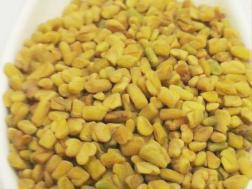 Picture of: Fenugreek seeds, Methi Seeds